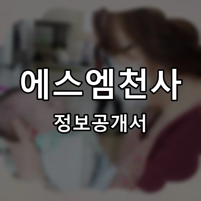 에스엠천사 프랜차이즈 창업 비용 정보공개서 요약