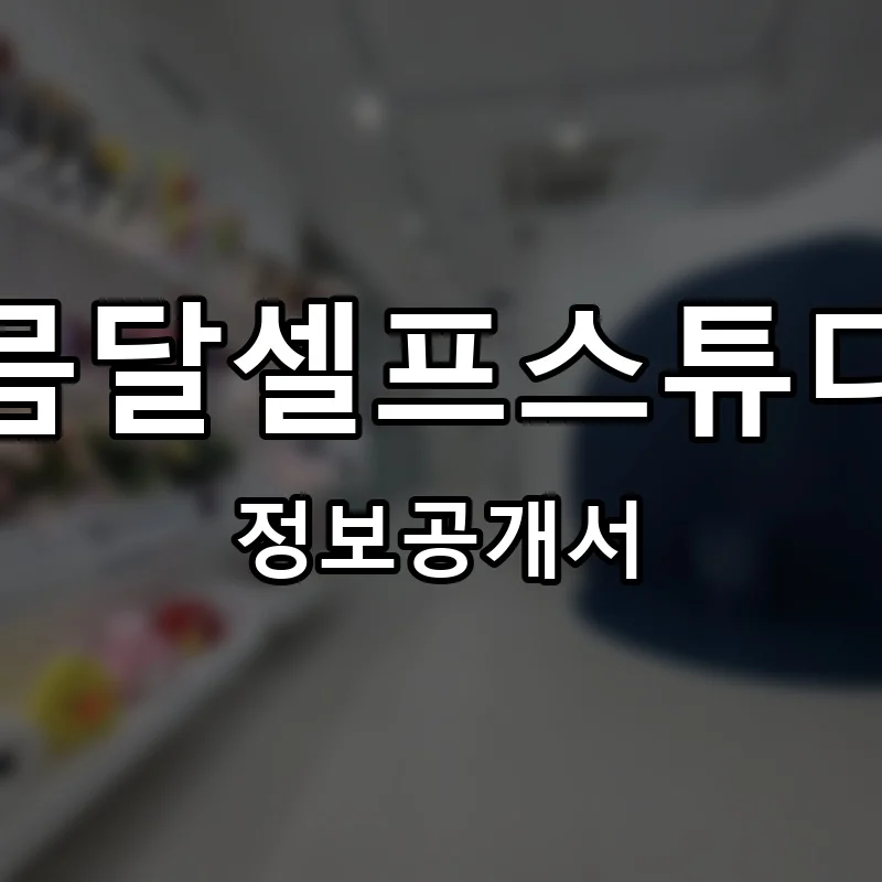 그믐달셀프스튜디오 프랜차이즈 창업 비용 정보공개서 요약