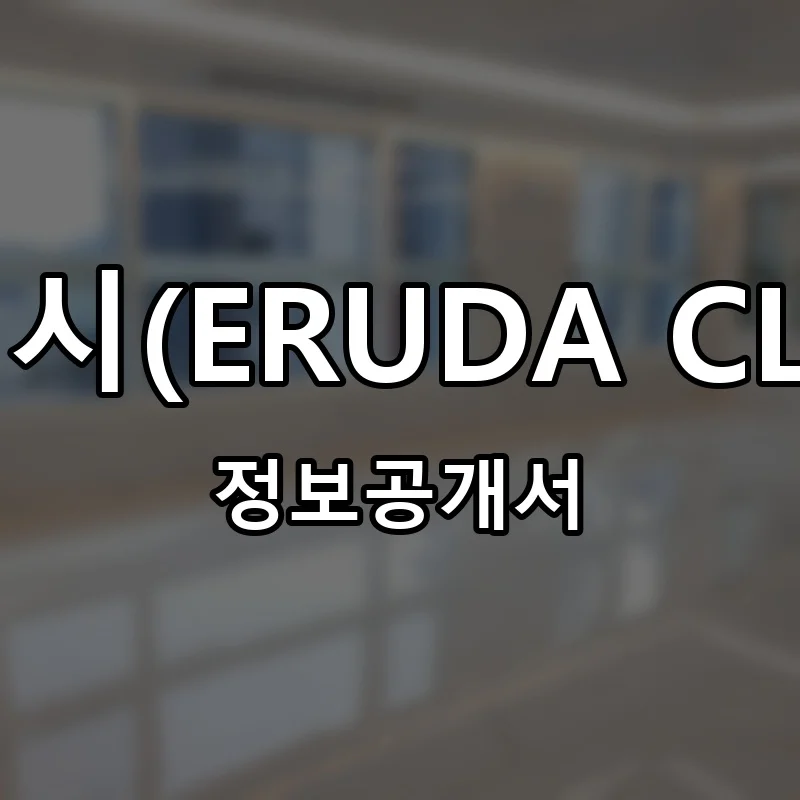 이루다클린워시(ERUDA CLEAN WASH) 프랜차이즈 창업 비용 정보공개서 요약