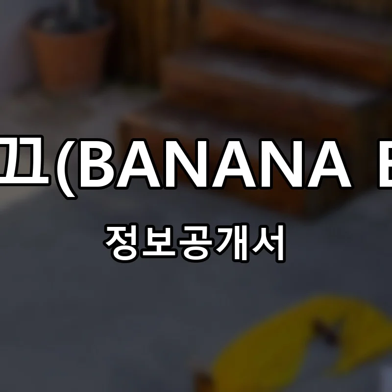 바나나부띠끄(BANANA BOUTIQUE) 프랜차이즈 창업 비용 정보공개서 요약