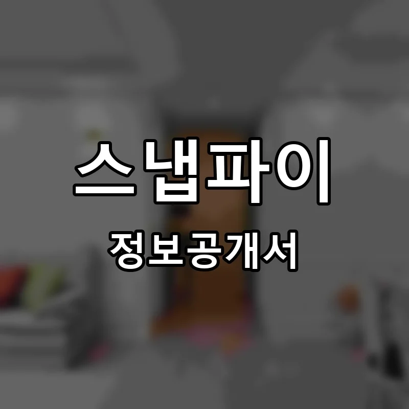스냅파이 프랜차이즈 창업 비용 정보공개서 요약