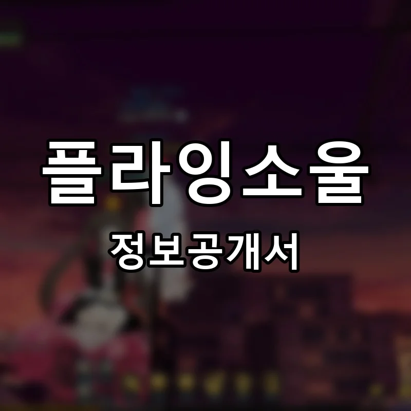 플라잉소울 프랜차이즈 정보공개서
