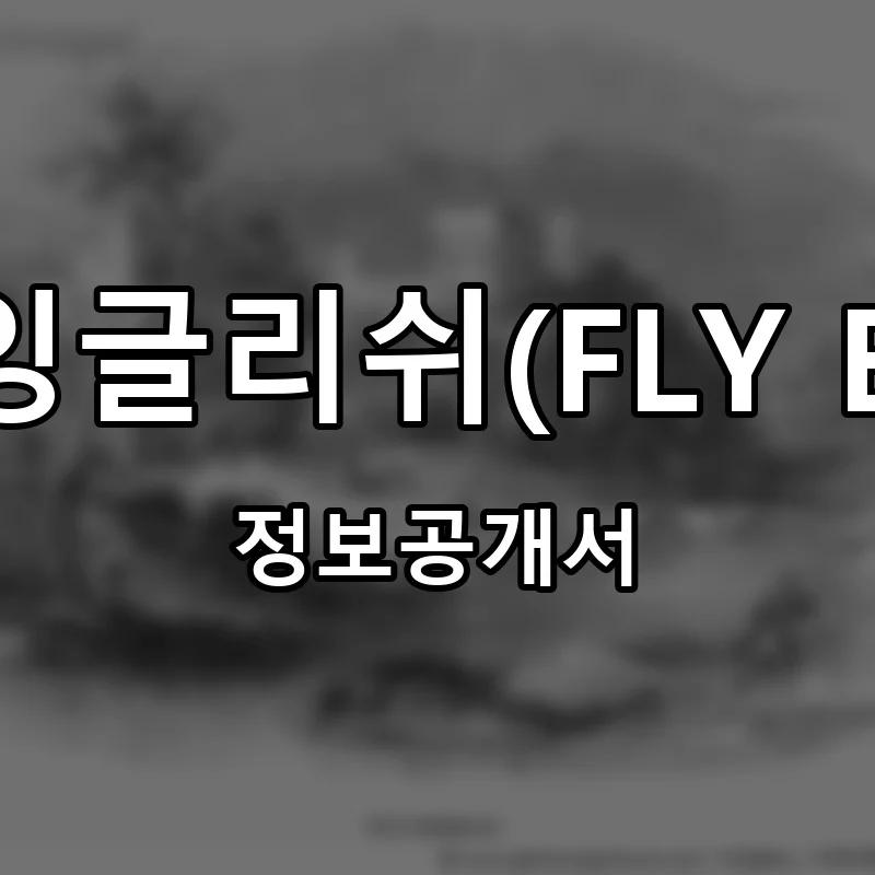 플라이잉글리쉬(FLY English) 프랜차이즈 정보공개서