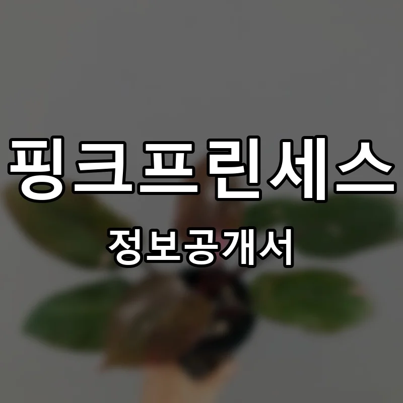 핑크프린세스 프랜차이즈 정보공개서