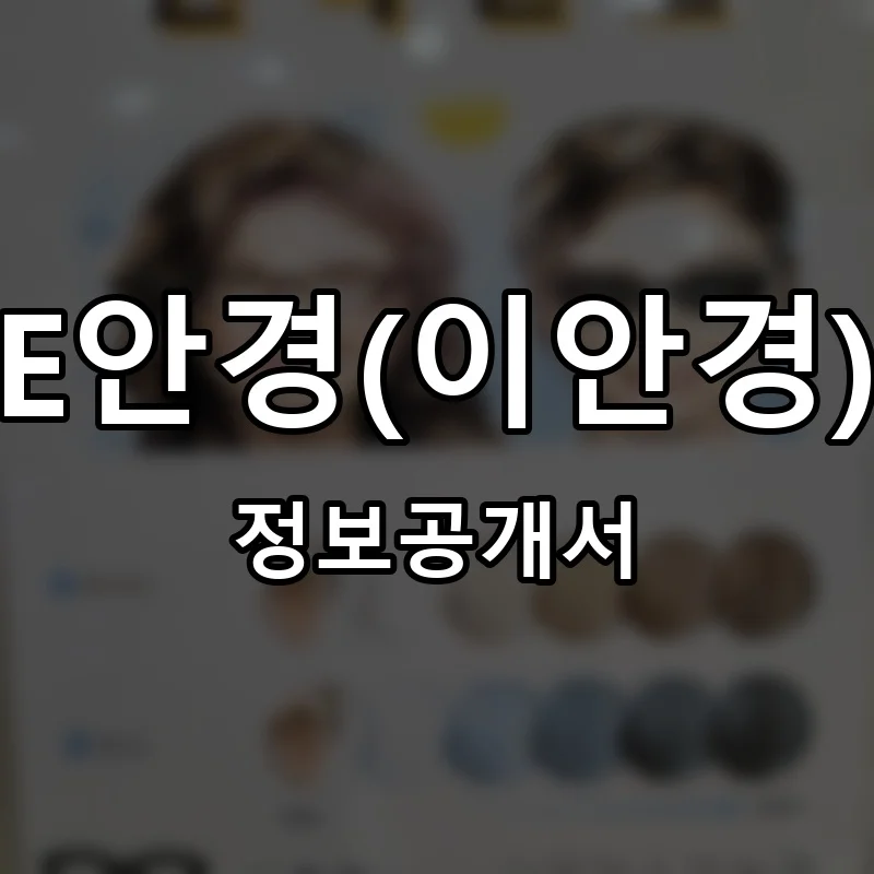 E안경(이안경) 창업 프랜차이즈 정보공개서 요약 2026.06.02