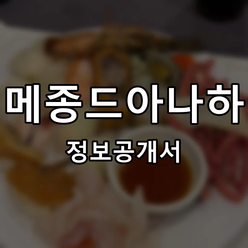 메종드아나하 프랜차이즈 창업 비용 정보공개서 요약