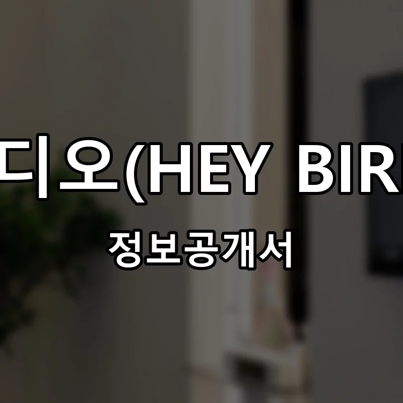 헤이버디 골프 스튜디오(HEY BIRDIE GOLF STUDIO) 프랜차이즈 창업 비용 정보공개서 요약