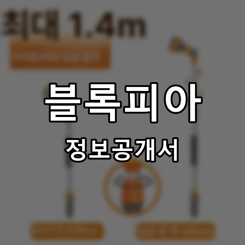 블록피아 프랜차이즈 정보공개서