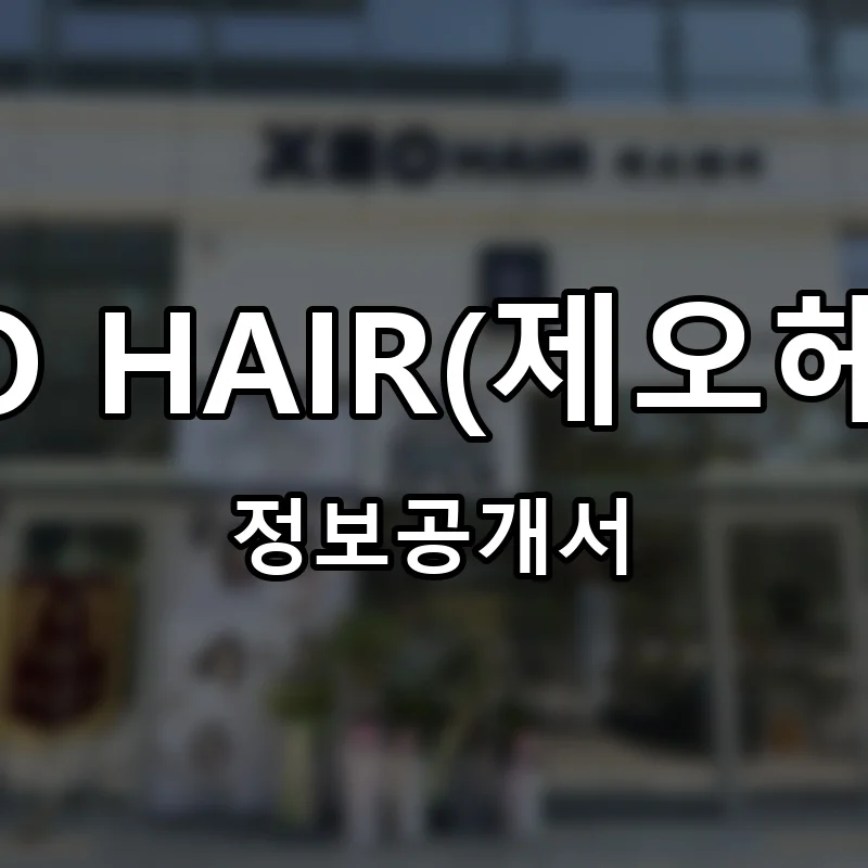 XEO HAIR(제오헤어) 프랜차이즈 창업 비용 정보공개서 요약