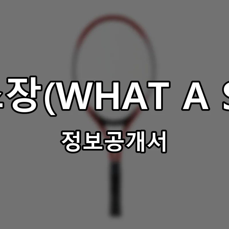 왓어샷테니스장(WHAT A SHOT테니스) 프랜차이즈 창업 비용 정보공개서 요약