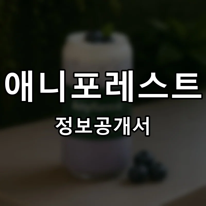 애니포레스트 프랜차이즈 창업 비용 정보공개서 요약