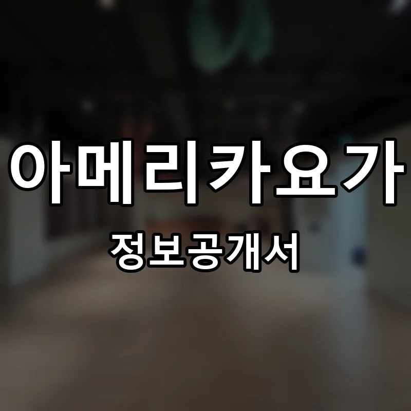 아메리카요가 프랜차이즈 창업 비용 정보공개서 요약