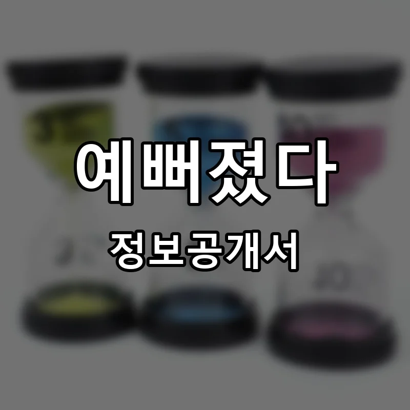 예뻐졌다 프랜차이즈 창업 비용 정보공개서 요약