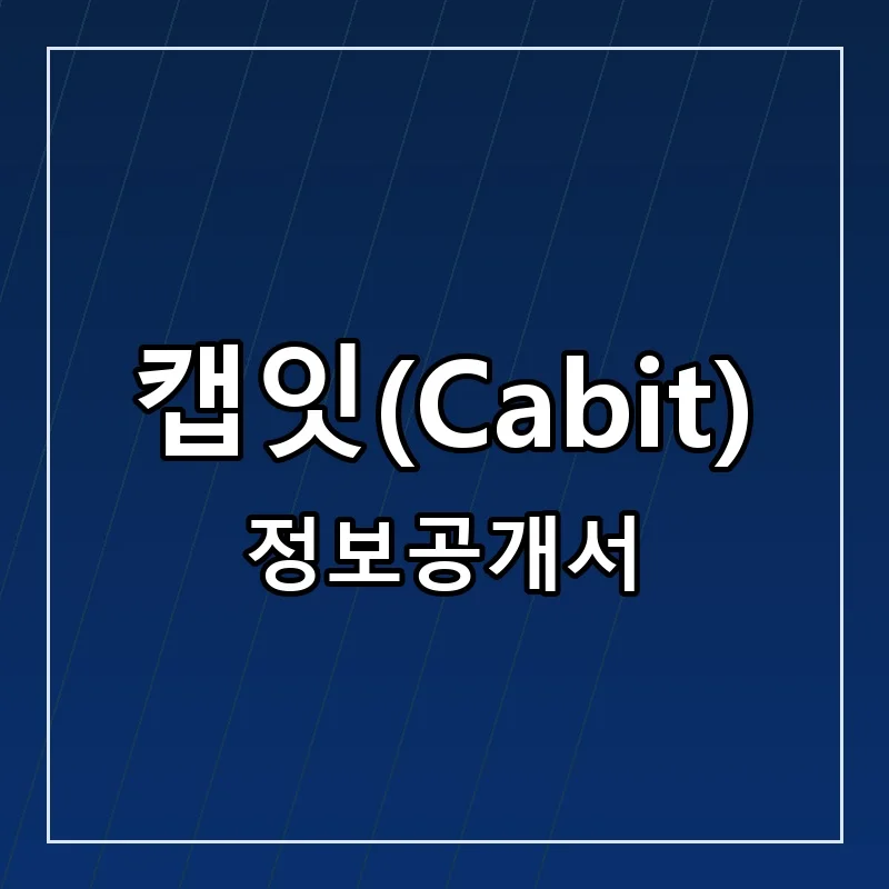 캡잇(Cabit) 프랜차이즈 창업 비용 정보공개서 요약