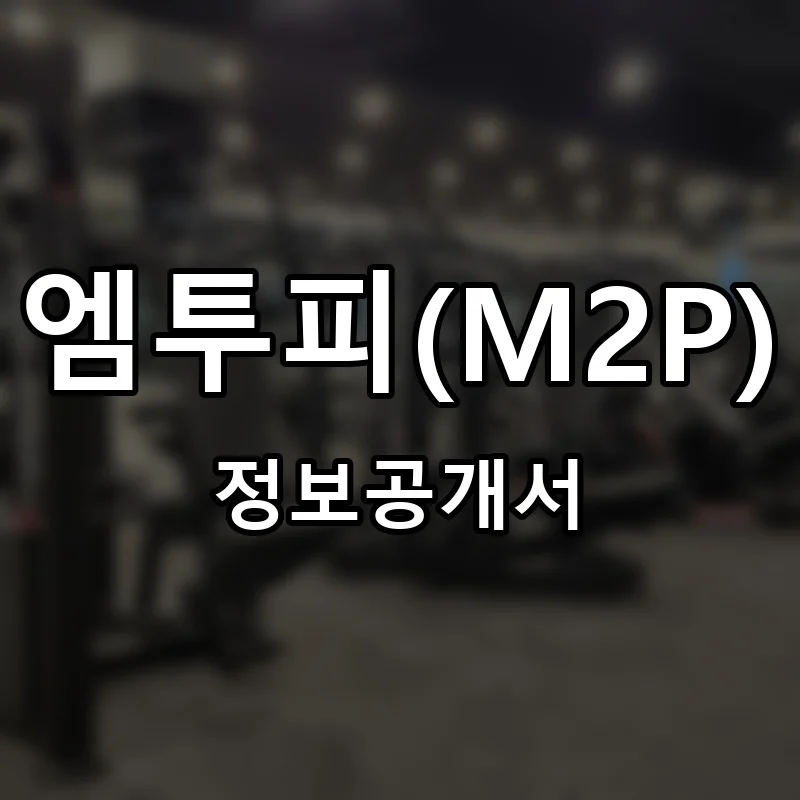 엠투피(M2P) 프랜차이즈 창업 비용 정보공개서 요약