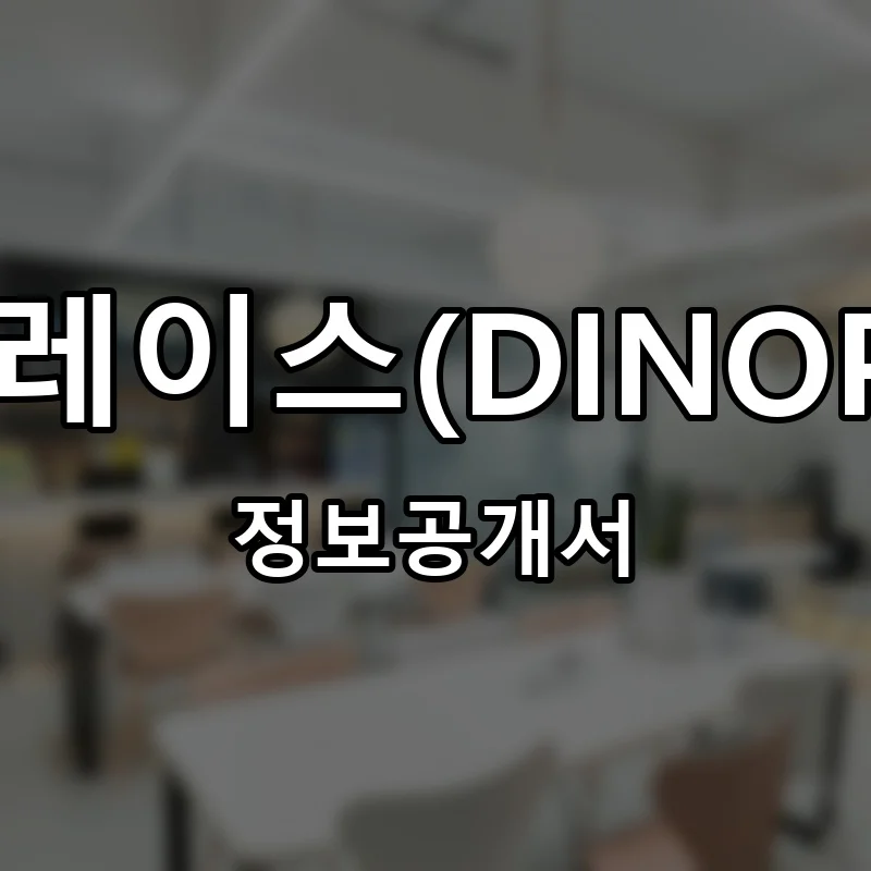 디노플레이스(DINOPLACE) 프랜차이즈 창업 비용 정보공개서 요약