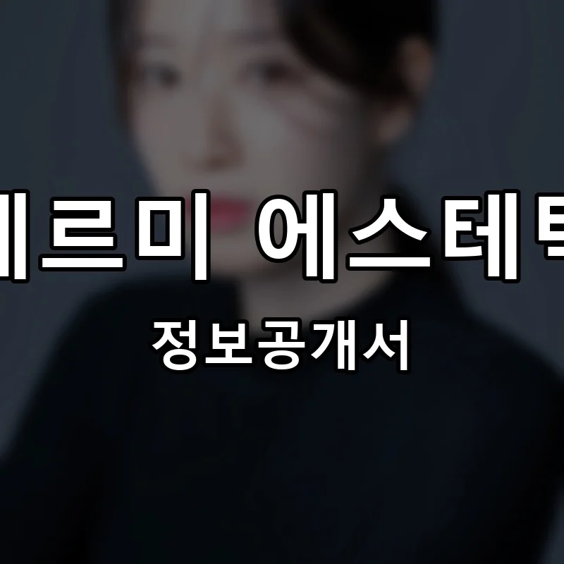 테르미 에스테틱 프랜차이즈 창업 비용 정보공개서 요약