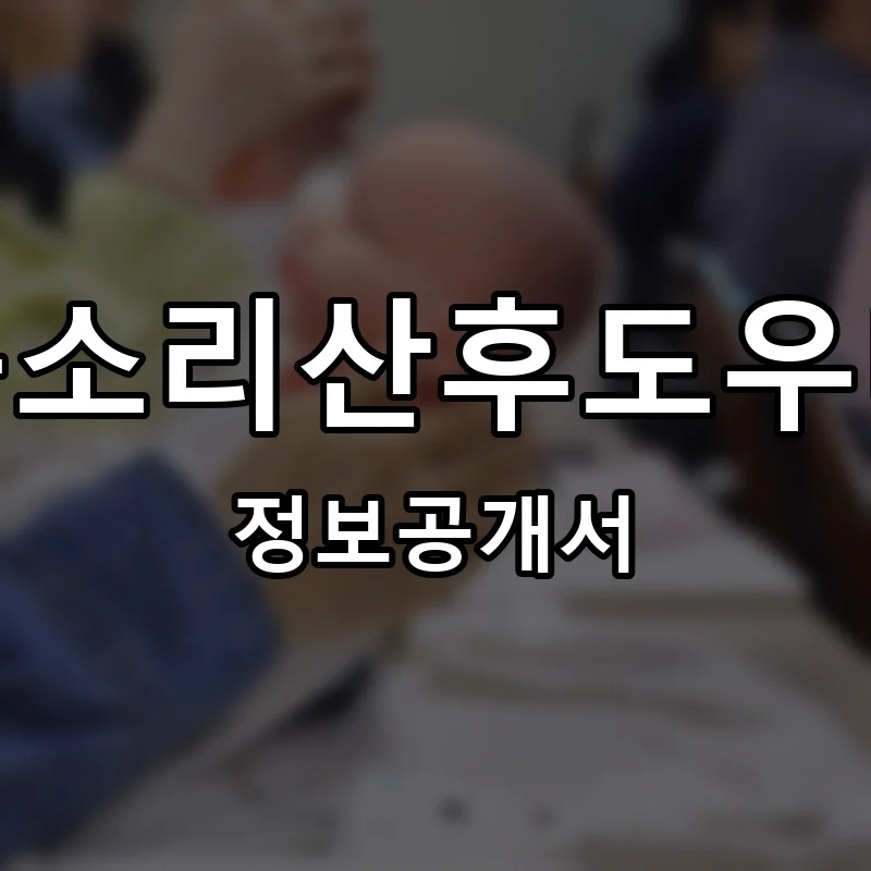 봄소리산후도우미 프랜차이즈 창업 비용 정보공개서 요약