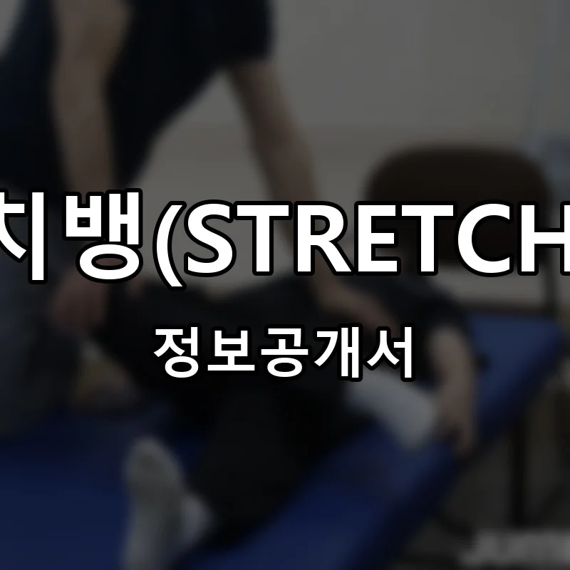 스트레치뱅(STRETCHBANG) 프랜차이즈 창업 비용 정보공개서 요약