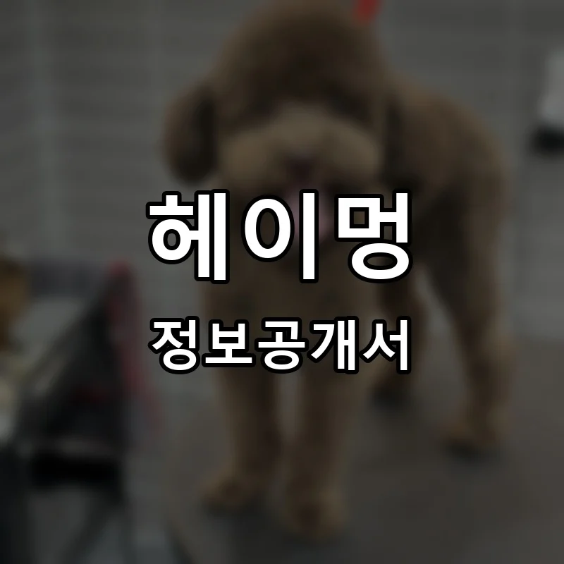 헤이멍 프랜차이즈 창업 비용 정보공개서 요약