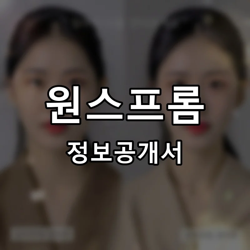 원스프롬 프랜차이즈 창업 비용 정보공개서 요약