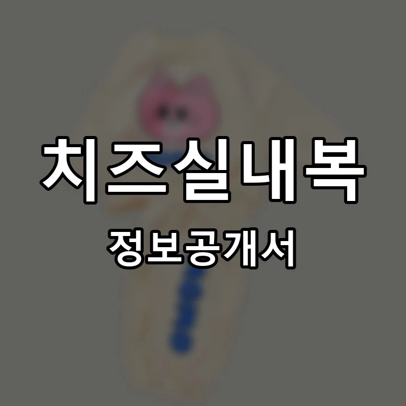 치즈실내복 프랜차이즈 창업 비용 정보공개서 요약