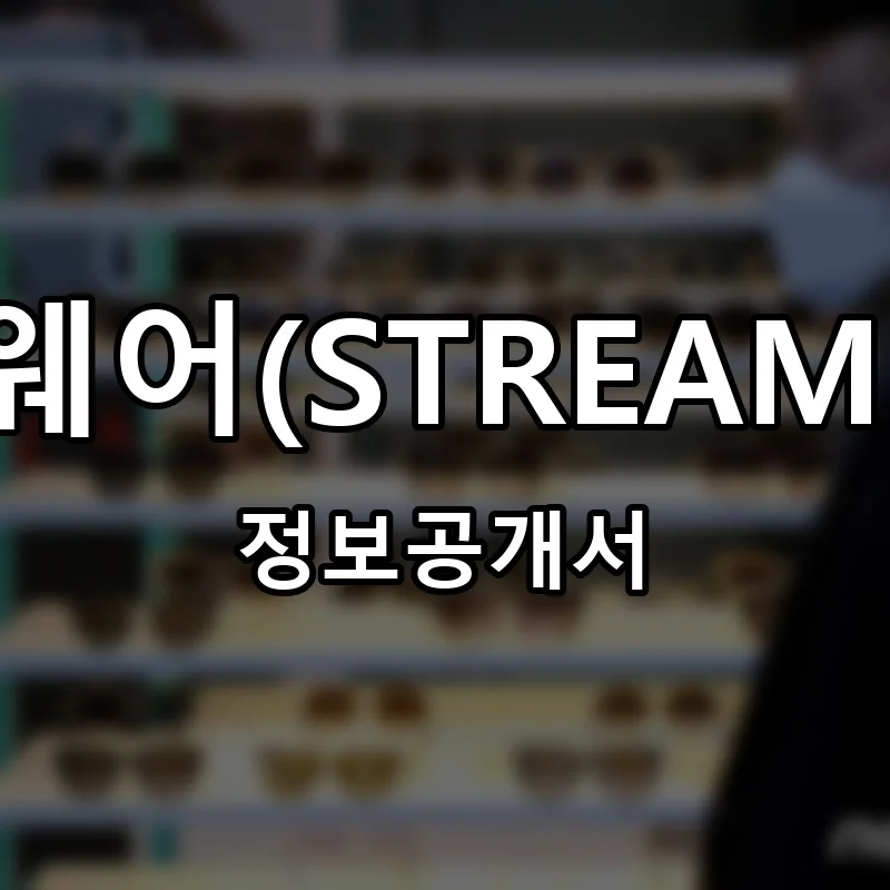 스트림아이웨어(STREAM EYEWEAR) 프랜차이즈 창업 비용 정보공개서 요약
