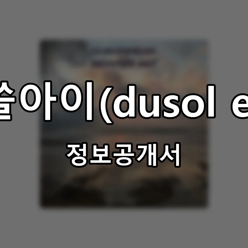 두쏠아이(dusol eye) 프랜차이즈 창업 비용 정보공개서 요약