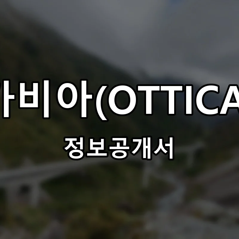 오티카비아(OTTICA VIA) 프랜차이즈 창업 비용 정보공개서 요약