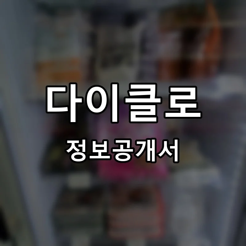 다이클로 프랜차이즈 창업 비용 정보공개서 요약