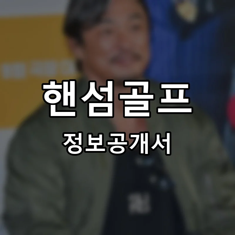 핸섬골프 프랜차이즈 창업 비용 정보공개서 요약