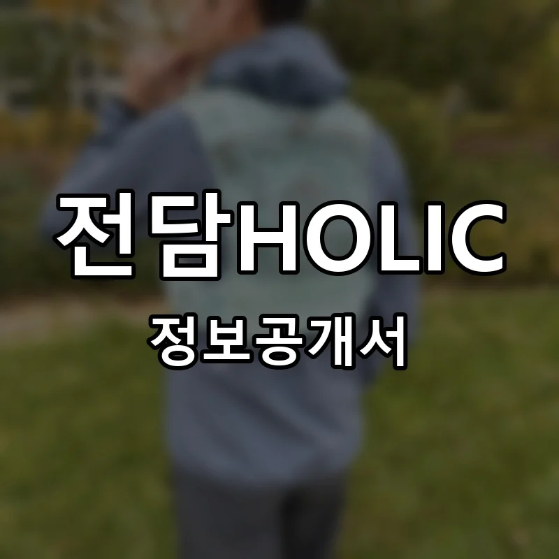 전담HOLIC 프랜차이즈 정보공개서