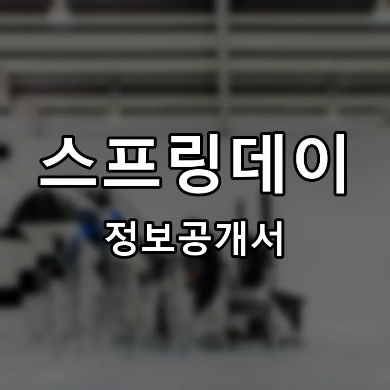 스프링데이 프랜차이즈 정보공개서