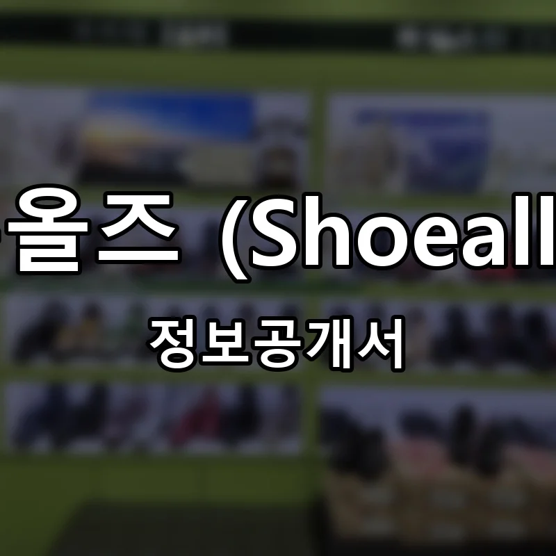 슈올즈 (ShoeallS) 프랜차이즈 창업 비용 정보공개서 요약