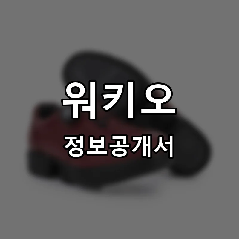 워키오 프랜차이즈 창업 비용 정보공개서 요약