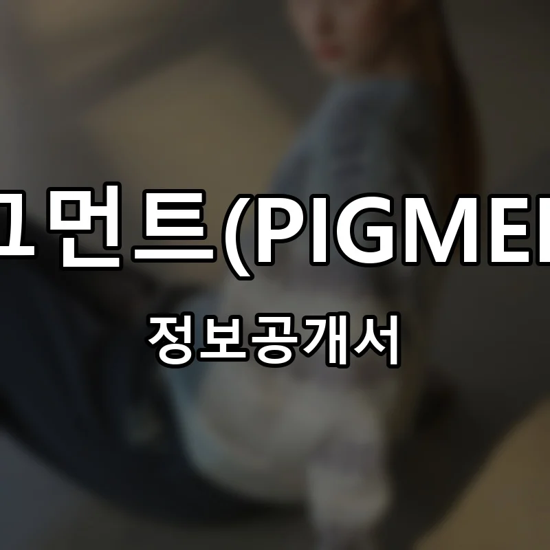피그먼트(PIGMENT) 프랜차이즈 창업 비용 정보공개서 요약