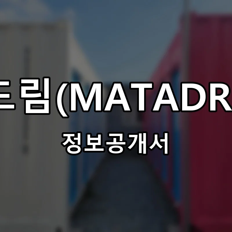 마타드림(MATADREAM) 프랜차이즈 창업 비용 정보공개서 요약