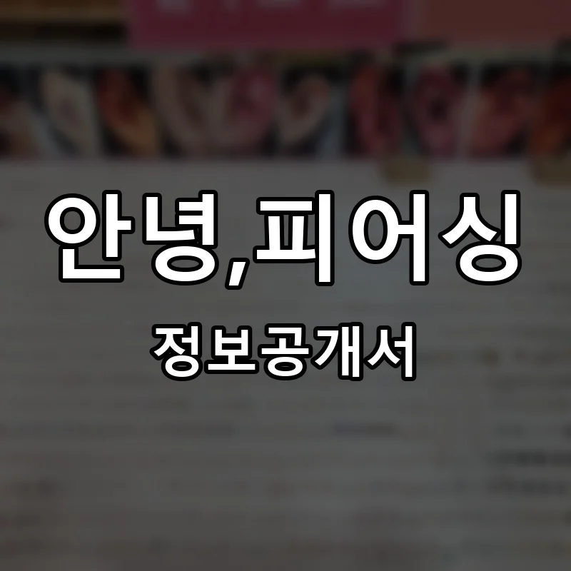 안녕,피어싱 프랜차이즈 창업 비용 정보공개서 요약