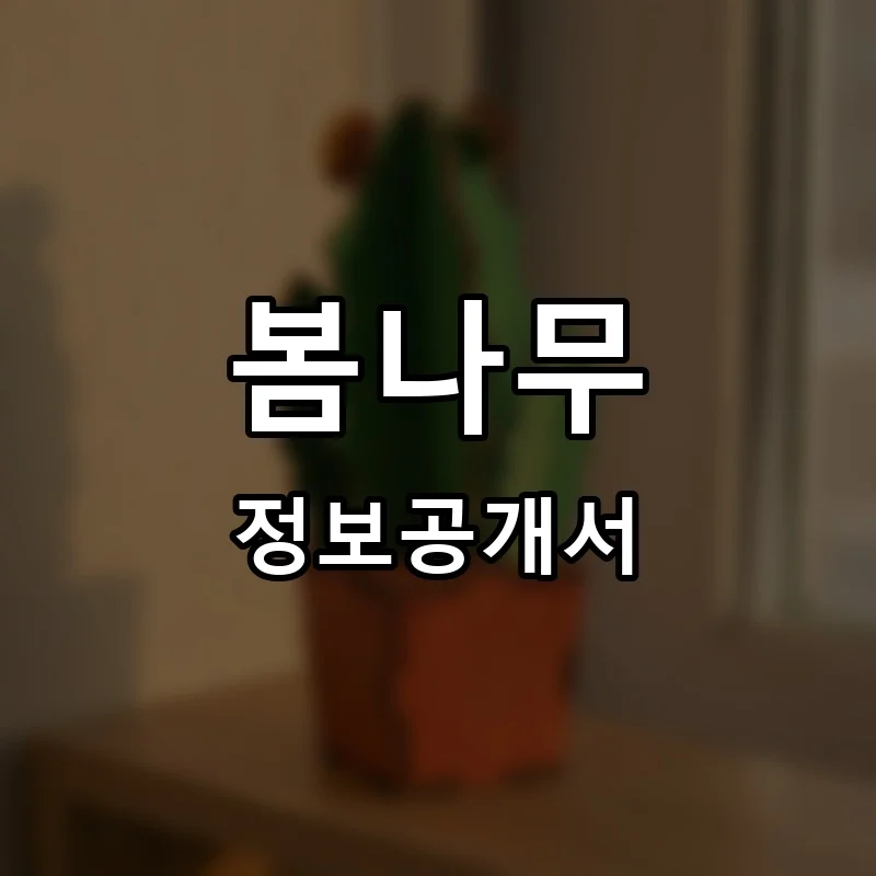 봄나무 프랜차이즈 창업 비용 정보공개서 요약