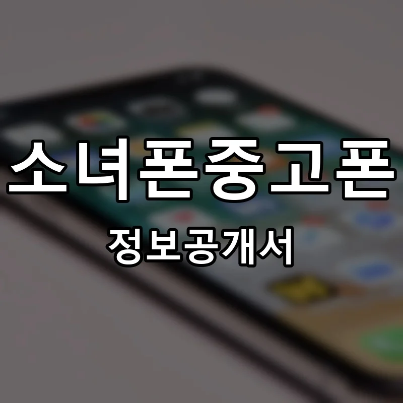소녀폰중고폰 프랜차이즈 창업 비용 정보공개서 요약