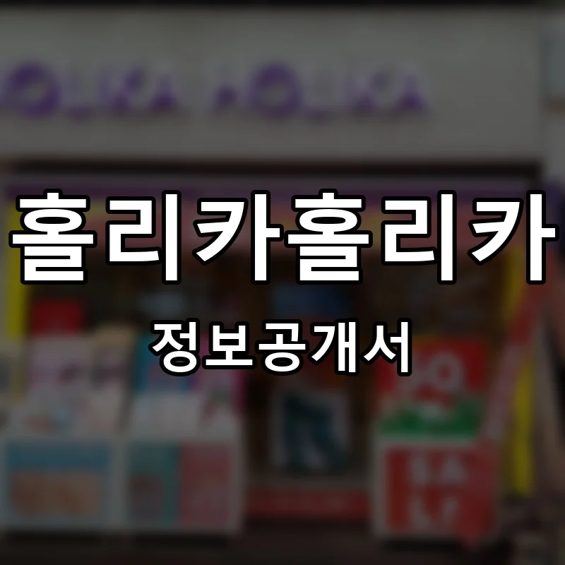 홀리카홀리카 프랜차이즈 정보공개서