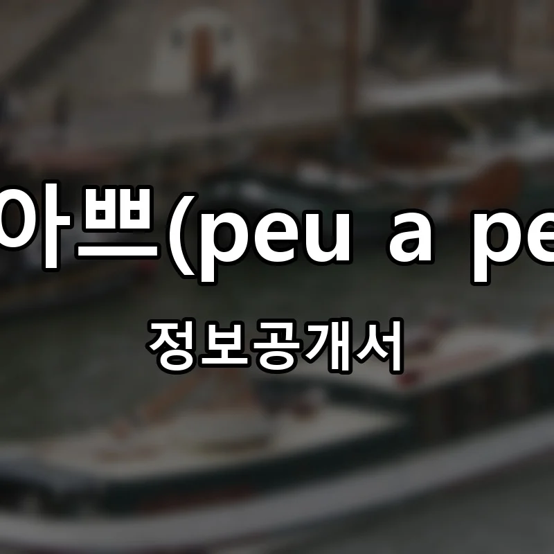 쁘아쁘(peu a peu) 프랜차이즈 정보공개서