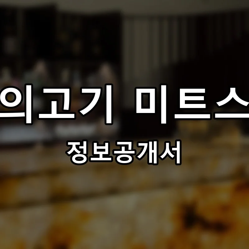 오늘의고기 미트스토리 프랜차이즈 창업 비용 정보공개서 요약
