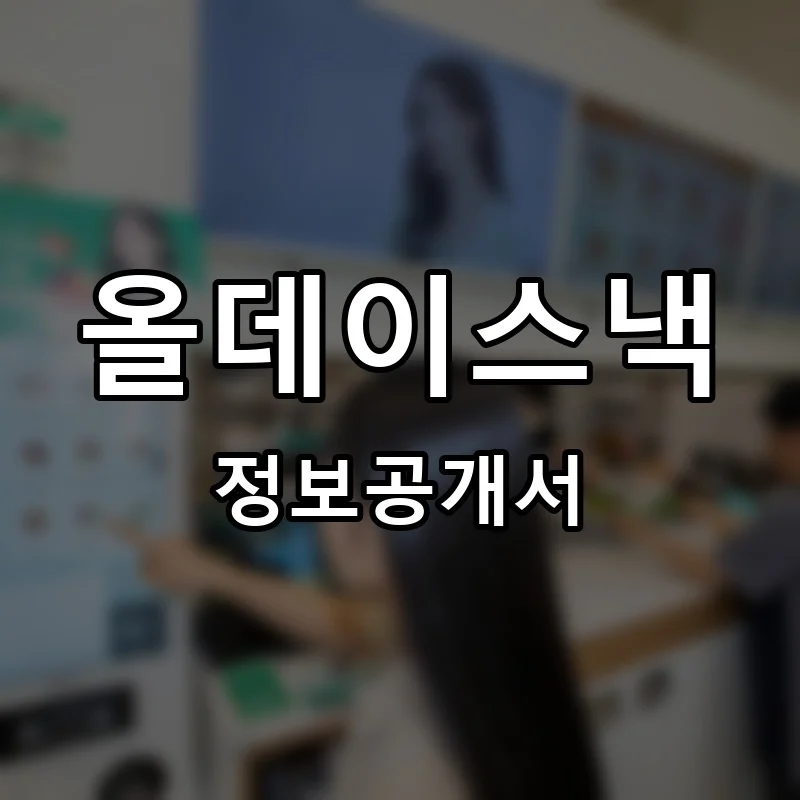 올데이스낵 프랜차이즈 정보공개서