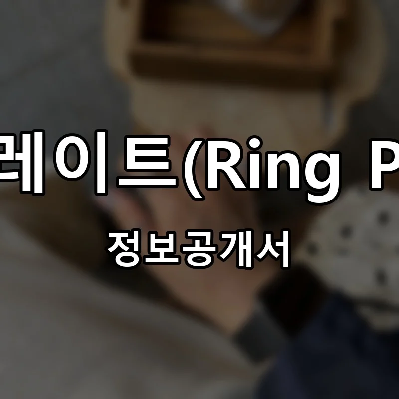 링플레이트(Ring Plate) 프랜차이즈 정보공개서