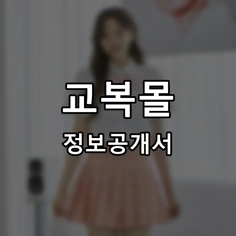 교복몰 프랜차이즈 정보공개서