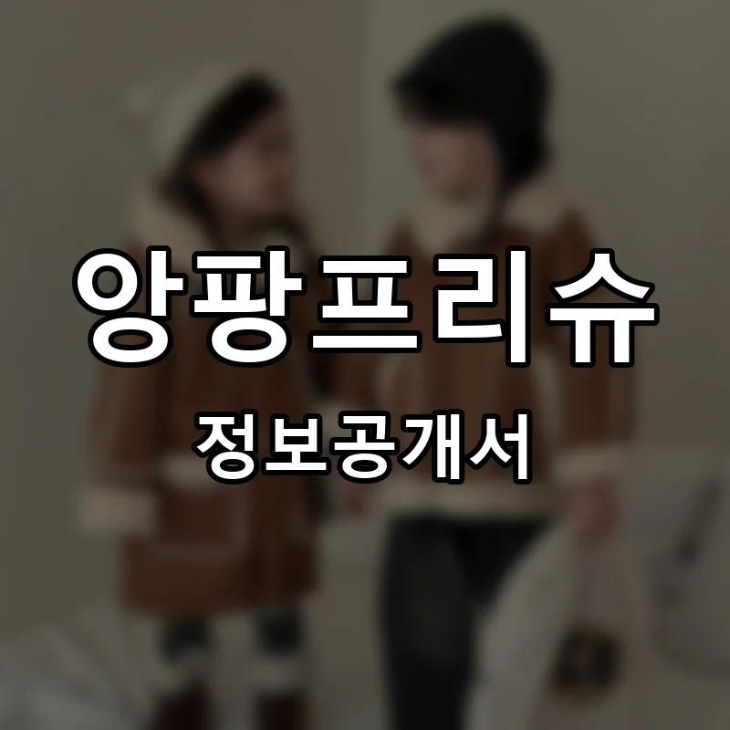 앙팡프리슈 프랜차이즈 창업 비용 정보공개서 요약