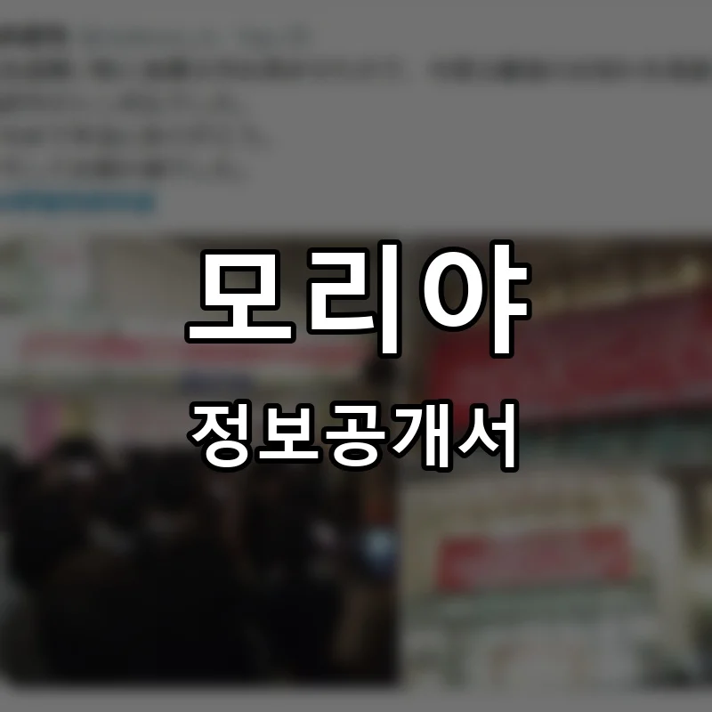 모리야 프랜차이즈 정보공개서