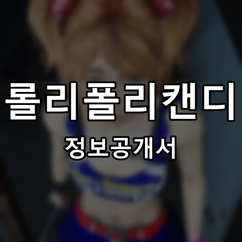 롤리폴리캔디 프랜차이즈 정보공개서