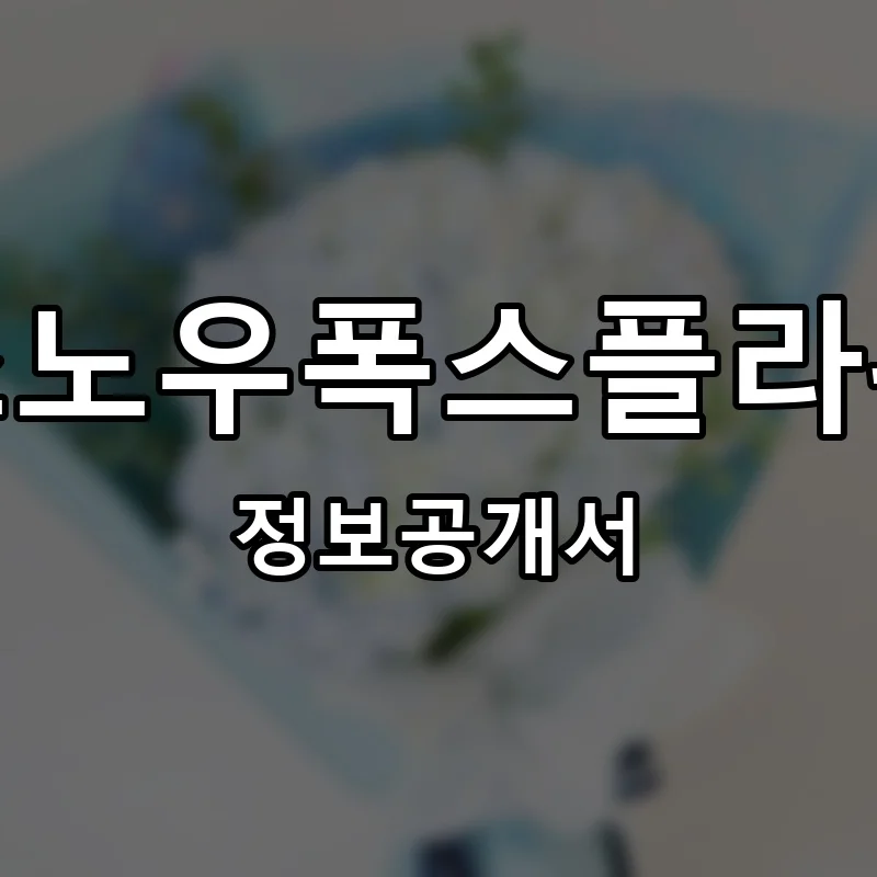 스노우폭스플라워 프랜차이즈 창업 비용 정보공개서 요약